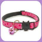 Kitten-073